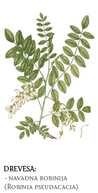 tujerodne rastline